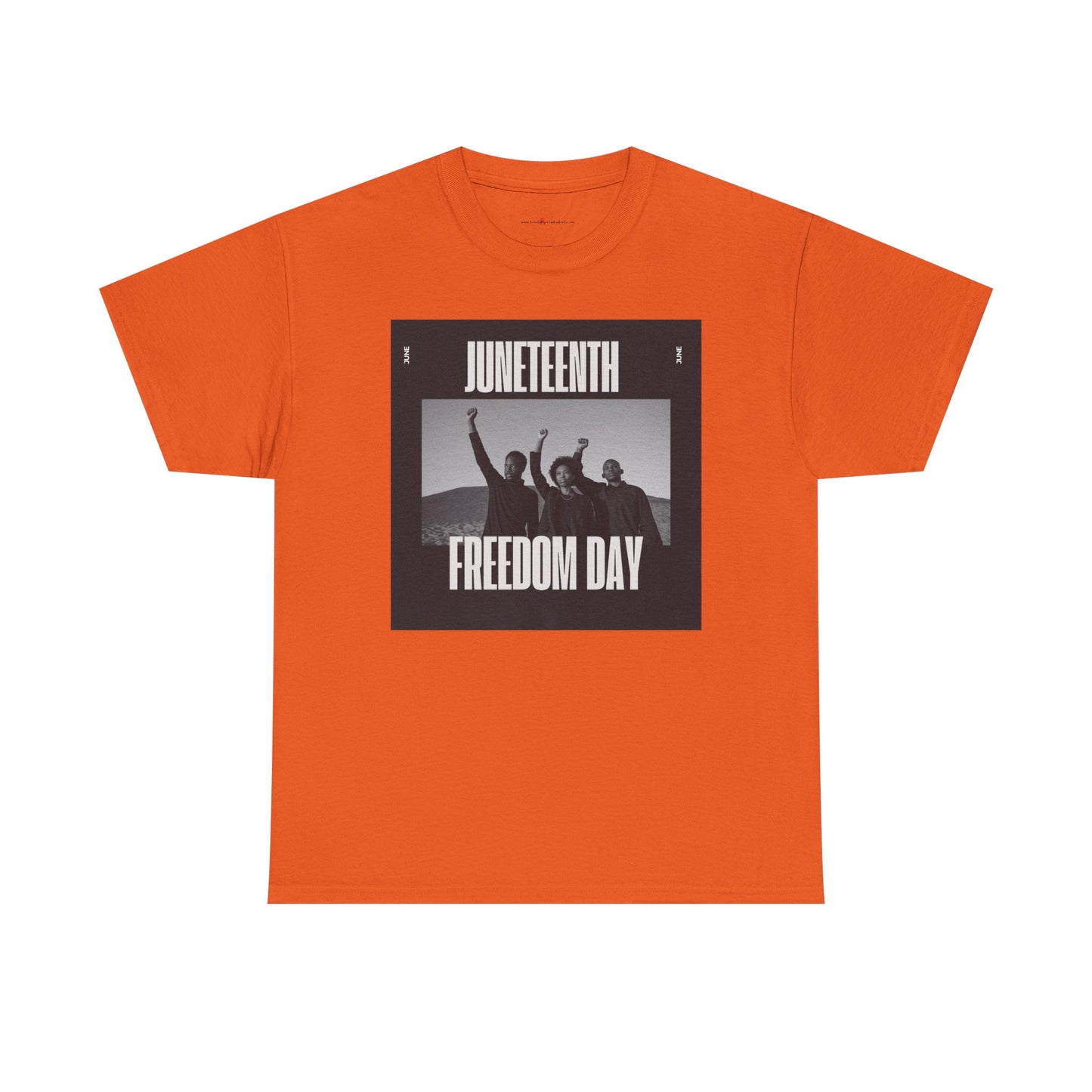 Juneteenth Unisex T-Shirt-Freedom