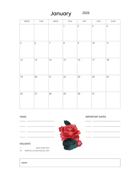 Curly Girl Budget Planner 2026